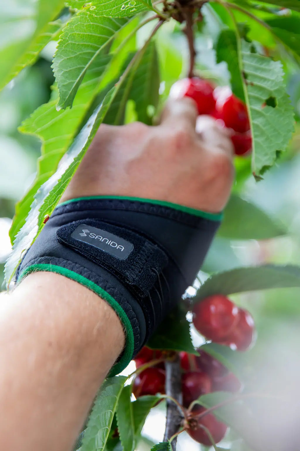 SANIDA® COMFORT Daumenschiene