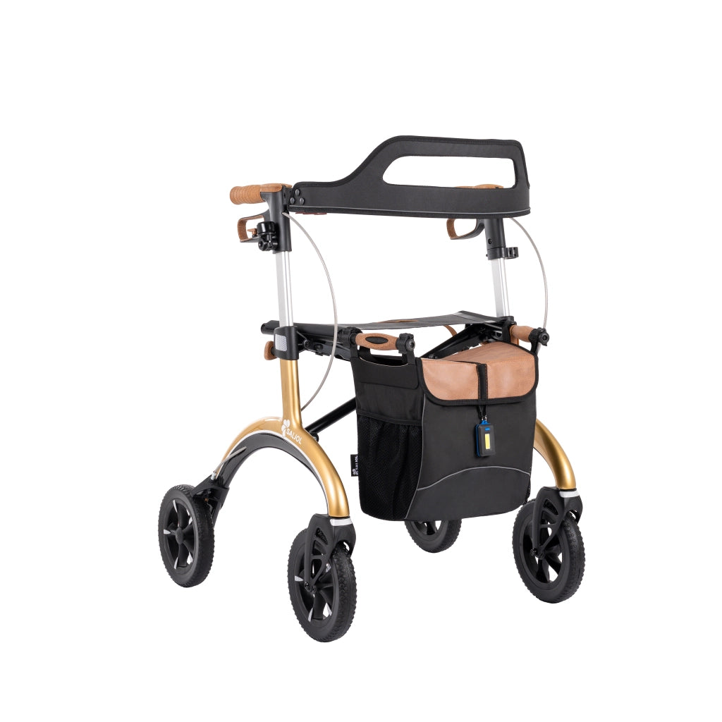 Carbon-Rollator CR 2025 Komplettpaket + gratis Carbon-Gehstock von SALJOL