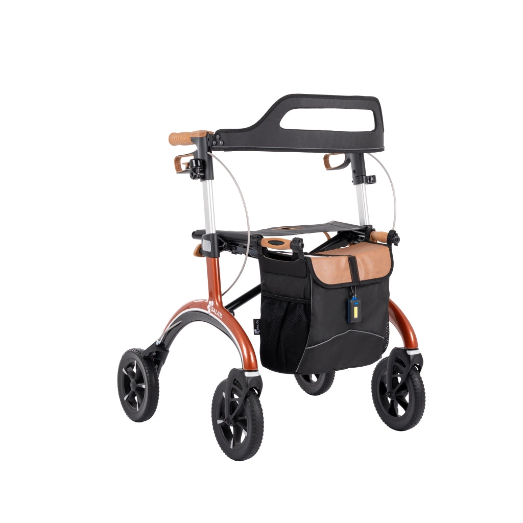 Carbon-Rollator CR 2025 Komplettpaket + gratis Carbon-Gehstock von SALJOL